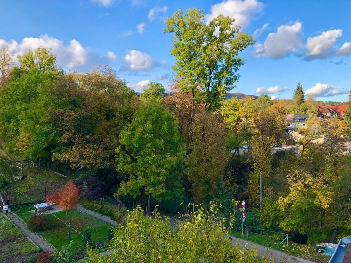 Ferienwohnung Im Gruenen Auf Idyllisch Gelegenen Gutshof Und Doch So Zentral วัลด์ชุท-ทีนเงน ภายนอก รูปภาพ